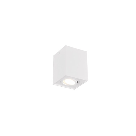 Oczko natynkowe BISCUIT 613000131 Trio