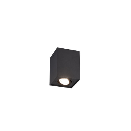 Oczko natynkowe BISCUIT 613000132 Trio