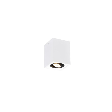 Oczko natynkowe BISCUIT 613000134 Trio