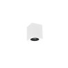 Oczko natynkowe BISCUIT 613000134 Trio