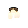 Lampa sufitowa DIVA 619800308 Trio