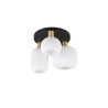 Lampa sufitowa DIVA 619800308 Trio