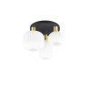 Lampa sufitowa DIVA 619800308 Trio