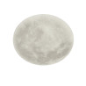 Lampa sufitowa LUNAR 627514000 Trio