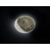 Lampa sufitowa LUNAR 627514000 Trio