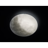 Lampa sufitowa LUNAR 627516000 Trio