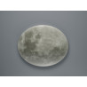 Lampa sufitowa LUNAR 627516000 Trio