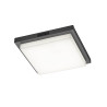 Lampa zewnętrzna sufitowa BERMEJO 630369242 Trio