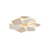 Lampa sufitowa ZAYA 636810665 Trio