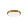 Lampa sufitowa DOHA 641310208 Trio