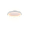 Lampa sufitowa DOHA 641310231 Trio