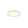 Lampa sufitowa DOHA 641310231 Trio