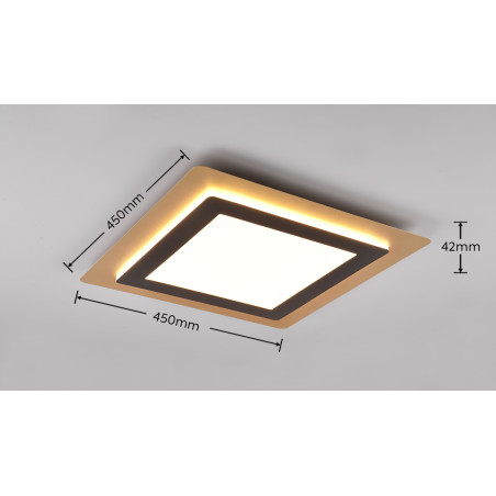Lampa sufitowa MORGAN 641510280 Trio
