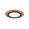 Lampa sufitowa MORGAN 641519280 Trio