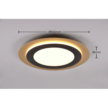 Lampa sufitowa MORGAN 641519280 Trio