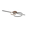 Lampa sufitowa MONTILLA 643010302 Trio