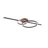 Lampa sufitowa MONTILLA 643010302 Trio