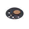 Lampa sufitowa ZODIAC 644810132 Trio