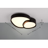 Lampa sufitowa RISE 647510232 Trio