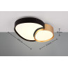 Lampa sufitowa RISE 647510280 Trio