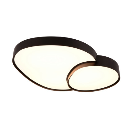 Lampa sufitowa RISE 647519232 Trio