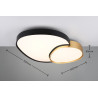 Lampa sufitowa RISE 647519280 Trio