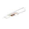 Lampa sufitowa ALBANY 647710465 Trio