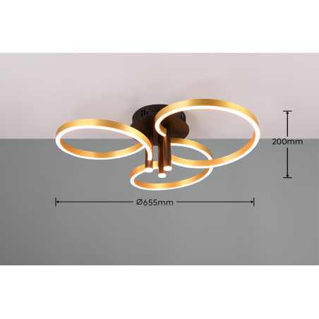 Lampa sufitowa CARUSO 648110680 Trio