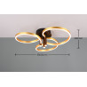 Lampa sufitowa CARUSO 648110680 Trio