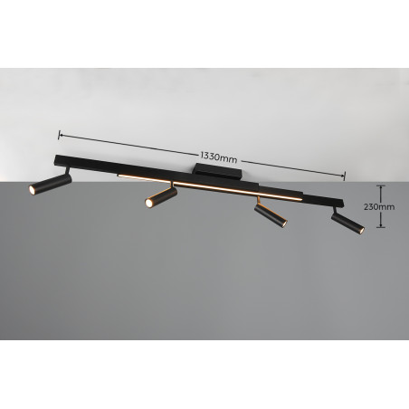 Lampa sufitowa ZENO 648310532 Trio