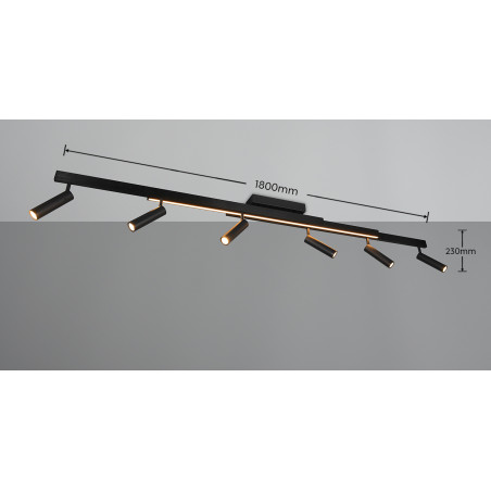 Lampa sufitowa ZENO 648310732 Trio