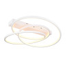 Lampa sufitowa DARVIN 649110131 Trio