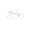 Lampa sufitowa DARVIN 649110131 Trio