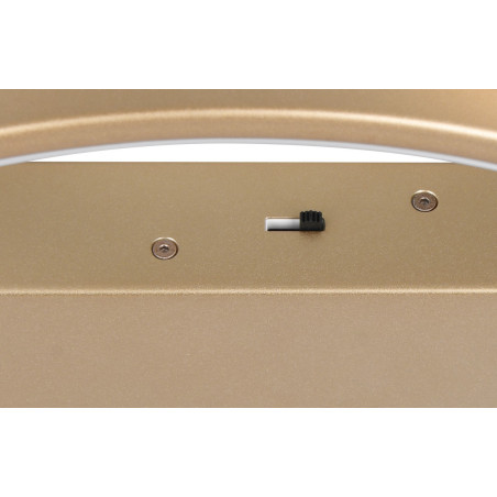Lampa sufitowa DARVIN 649110179 Trio