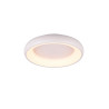 Lampa sufitowa CARDONA 649614531 Trio