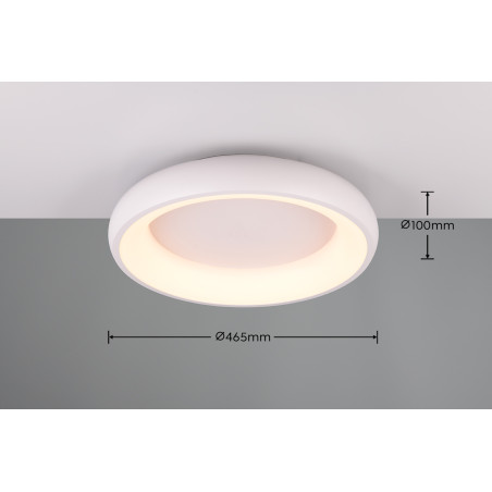 Lampa sufitowa CARDONA 649614531 Trio