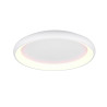 Lampa sufitowa CARDONA 649617531 Trio