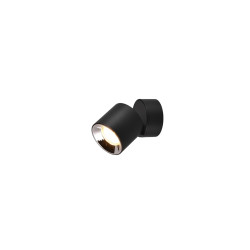 Lampa sufitowa GUAYANA 651000132 Trio