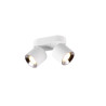 Lampa sufitowa GUAYANA 651000231 Trio