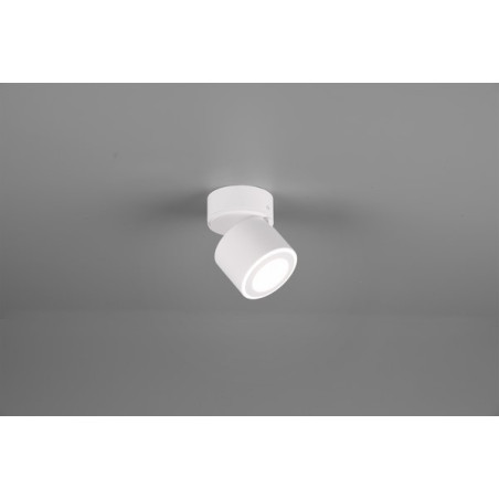 Lampa ścienna, reflektorek TAURUS 652910131 Trio