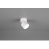 Lampa ścienna, reflektorek TAURUS 652910131 Trio