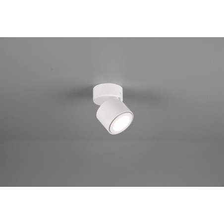 Lampa ścienna, reflektorek TAURUS 652910131 Trio