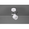 Lampa ścienna, reflektorek TAURUS 652910131 Trio