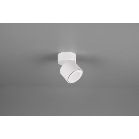 Lampa ścienna, reflektorek TAURUS 652910131 Trio