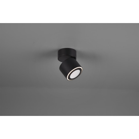 Lampa ścienna, reflektorek TAURUS 652910132 Trio