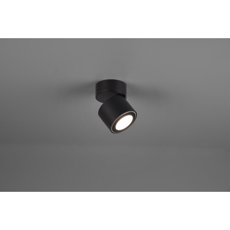 Lampa ścienna, reflektorek TAURUS 652910132 Trio