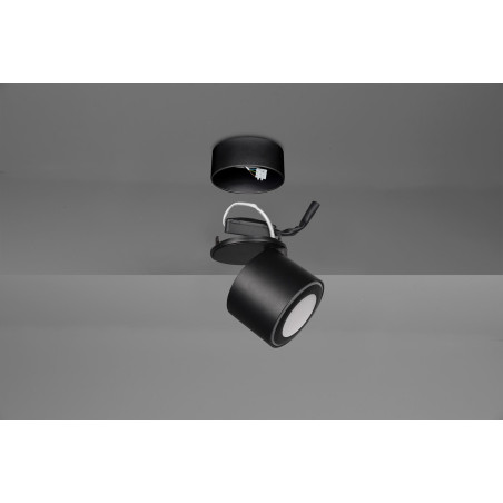 Lampa ścienna, reflektorek TAURUS 652910132 Trio