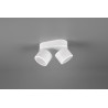 Lampa sufitowa, reflektorek TAURUS 652910231 Trio
