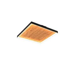 Lampa sufitowa KALEA 655510130 Trio