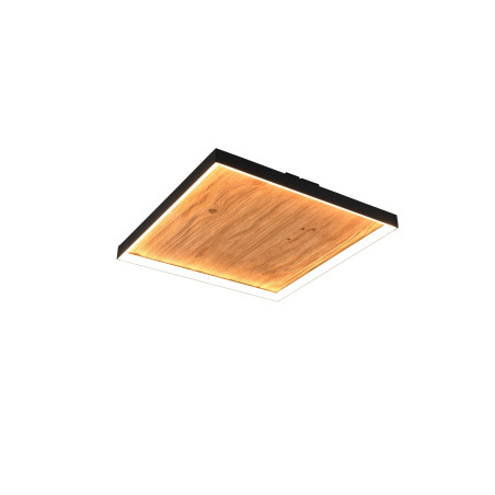 Lampa sufitowa KALEA 655510130 Trio